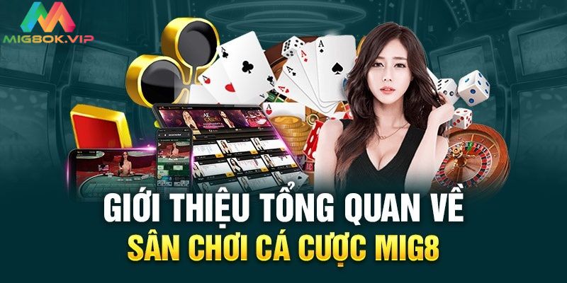 Cá cược MIG8 là gì?