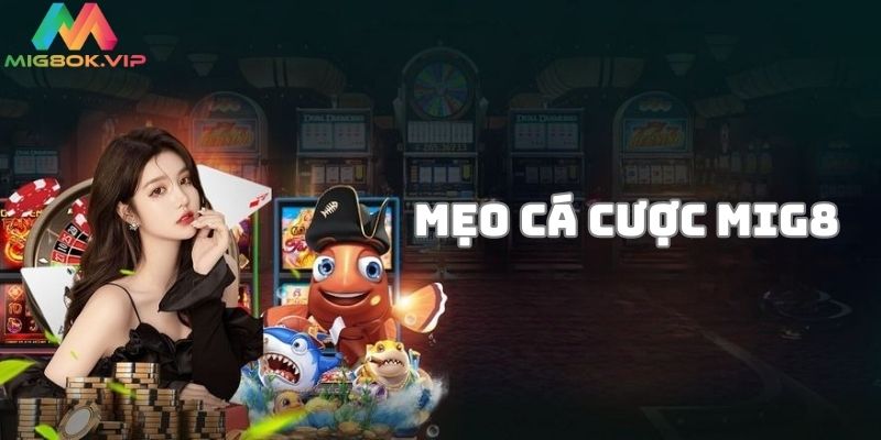 Chia sẻ cách cá cược MIG8 hiệu quả