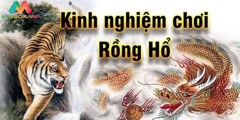 Mẹo chơi Rồng Hổ cho người mới