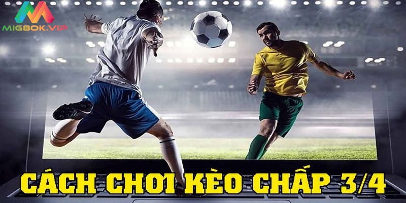 Soi kèo 3/4 là gì để ăn chắc mặc bền?