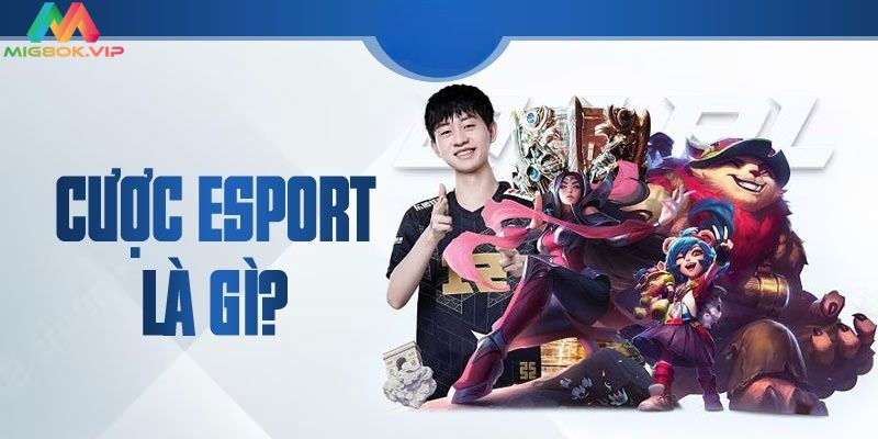 Tổng quan về thể loại cá cược Esport