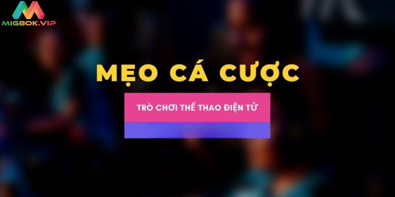 Mẹo cá cược Esport đẳng cấp như các cao thủ