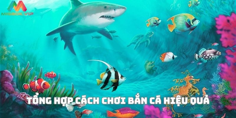 Tổng hợp những cách chơi game bắn cá hiệu quả, dễ thắng nhất