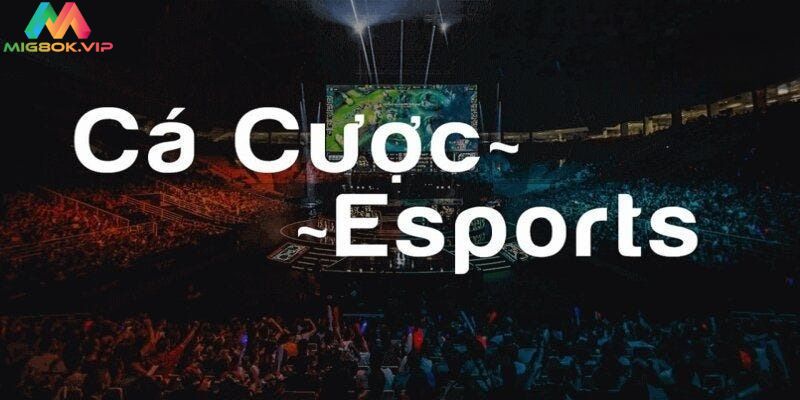 Cá cược Esport